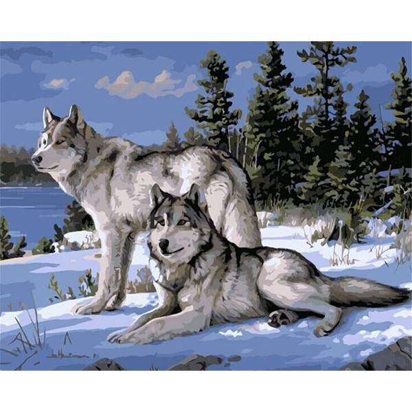 Gray wolf Painting By Numbers UK