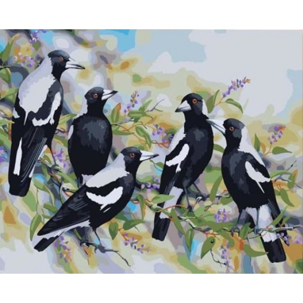 Birds- 40*50cm Painting By Numbers UK