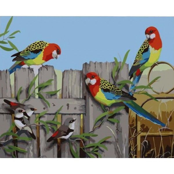 Birds- 40*50cm Painting By Numbers UK