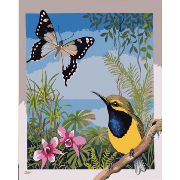 3D Butterfly & Bird - 40*50cm Painting By Numbers UK