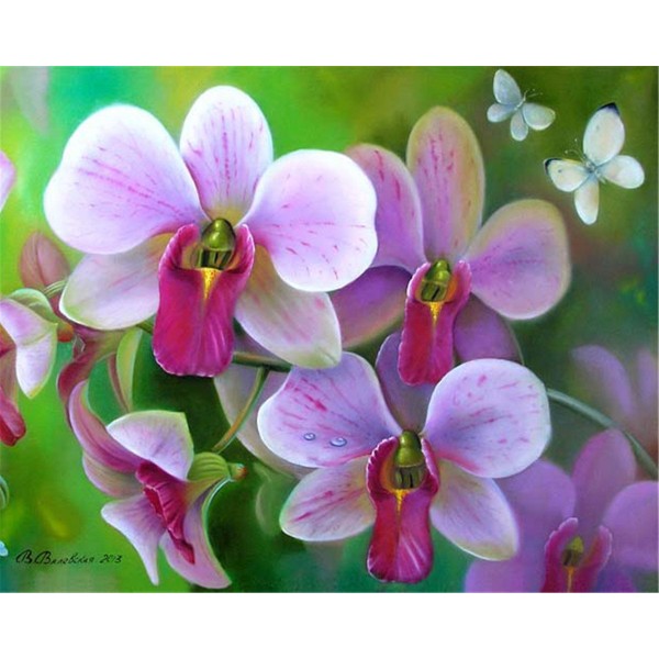 Flowers phalaenopsis Painting By Numbers UK