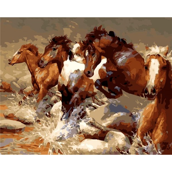 Horse group Painting By Numbers UK