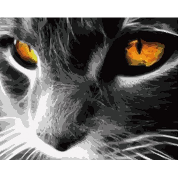  Animal Cat With Sharp Eyes Painting By Numbers UK
