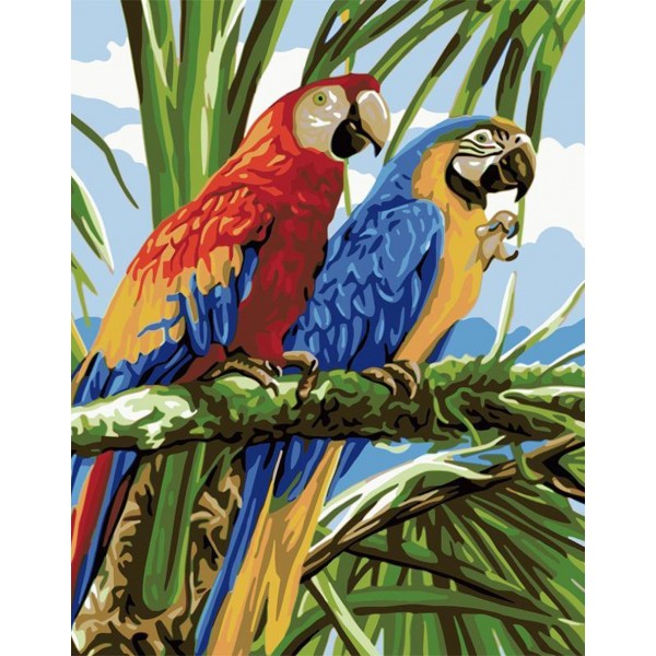  Animal Two Parrots Painting By Numbers UK