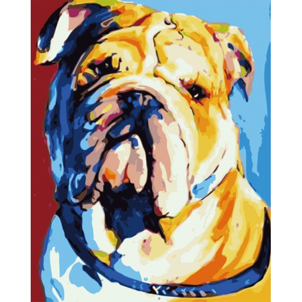 Animals dog Painting By Numbers UK