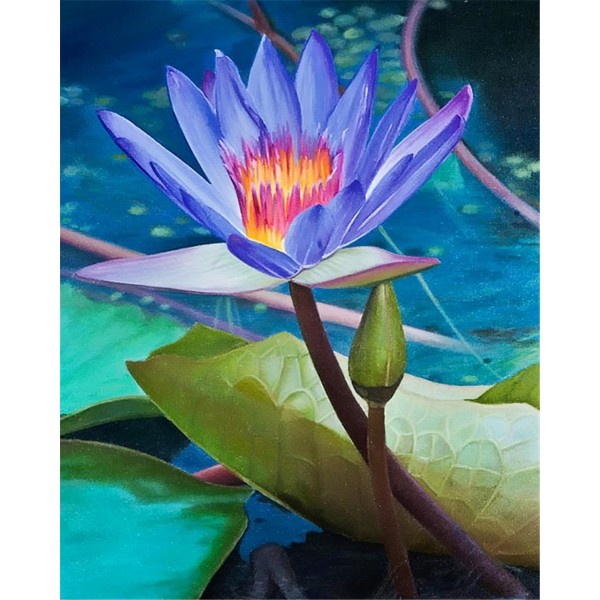 Flower water lily Painting By Numbers UK