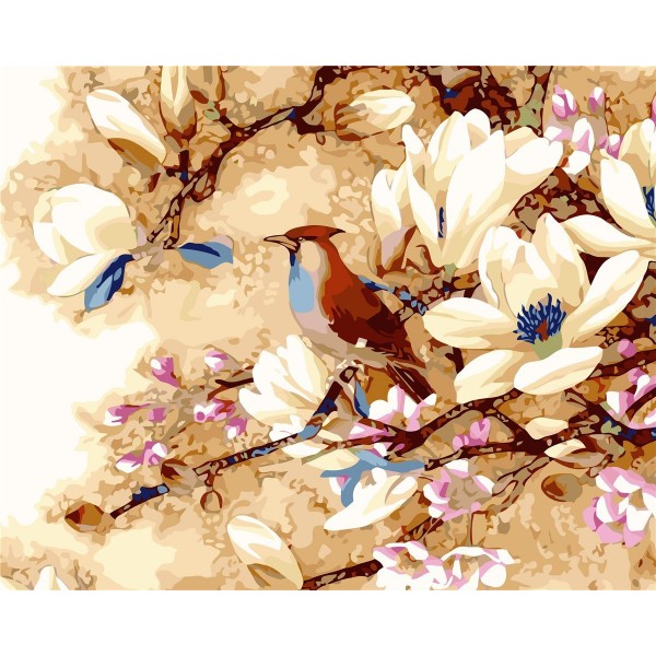 Magnolia flower and Northern Cardinal Painting By Numbers UK