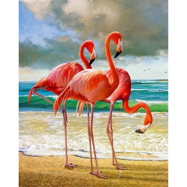 Flamingo on the beach Painting By Numbers UK