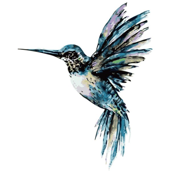 Animal hummingbird Painting By Numbers UK