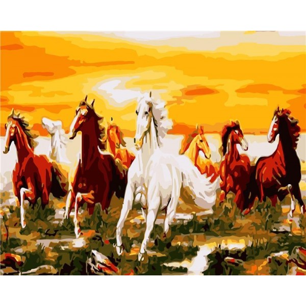 Horse Painting By Numbers UK