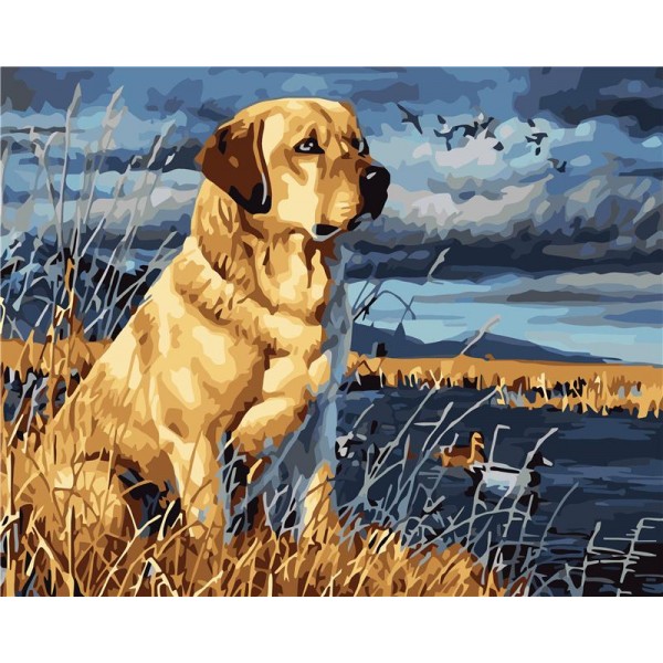 Dog Painting By Numbers UK