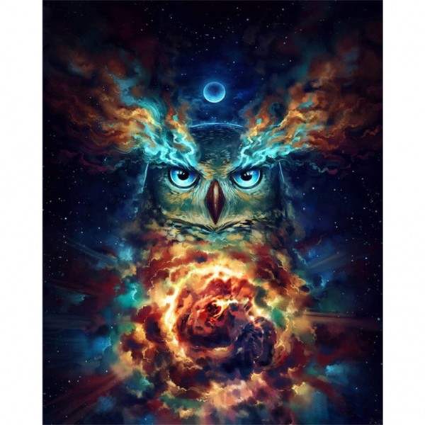 Abstract owl-- 40*50cm Painting By Numbers UK
