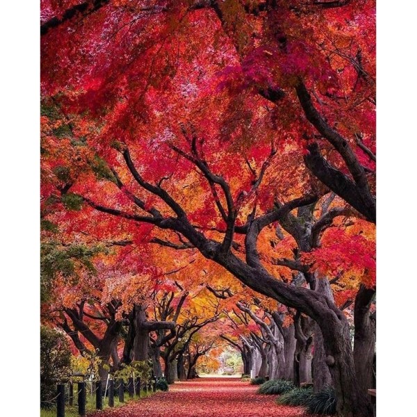 Tree Painting By Numbers UK