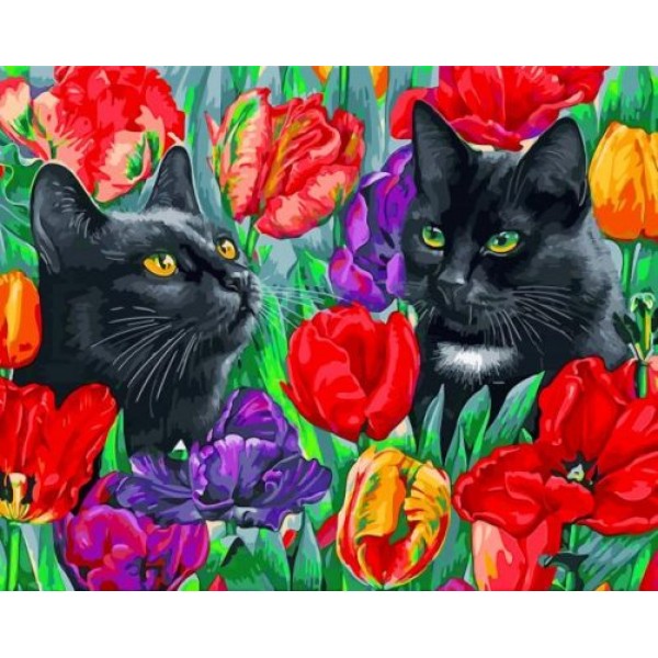 Black Cats - 40*50cm Painting By Numbers UK