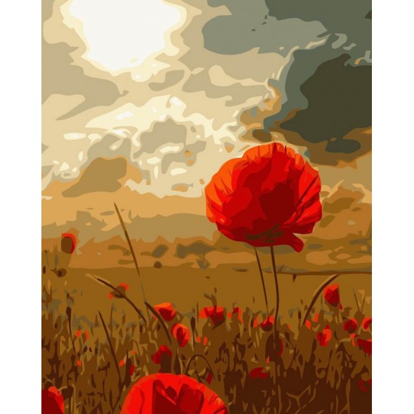  Poppy flower Painting By Numbers UK