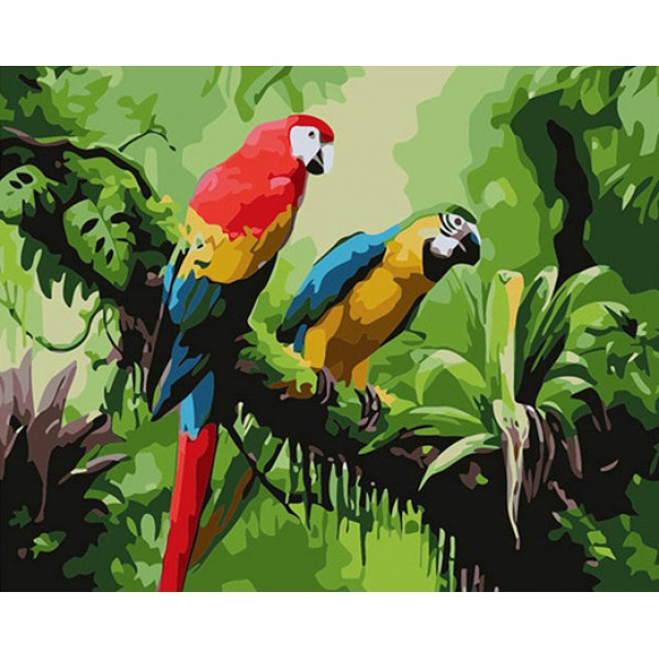 Two parrots - 40*50cm Painting By Numbers UK