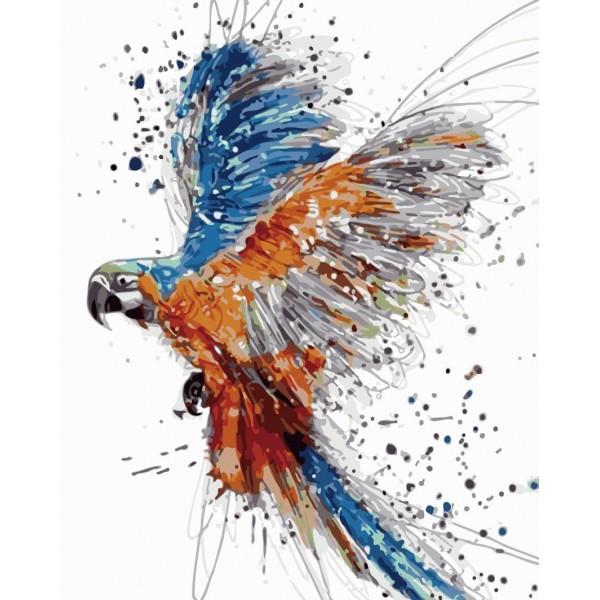 Animal Parrot Painting By Numbers UK