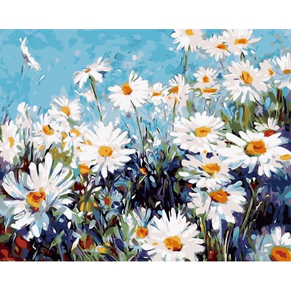 White daisy Painting By Numbers UK