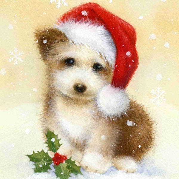 Puppy with christmas hat (40X50cm) Painting By Numbers UK