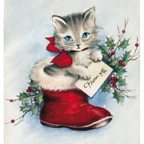 Christmas Cat (40X50cm) Painting By Numbers UK