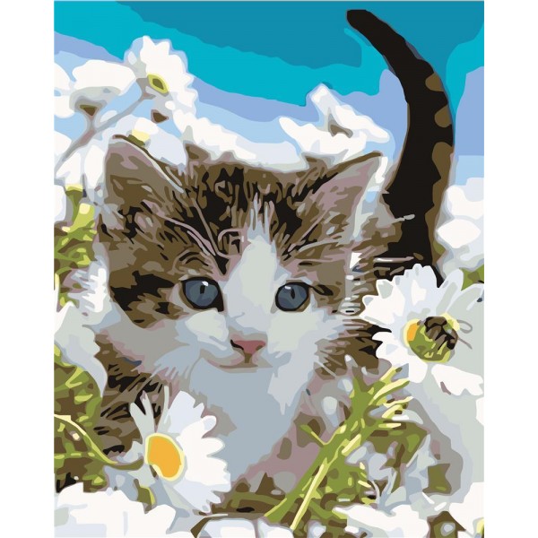 Cat Painting By Numbers UK