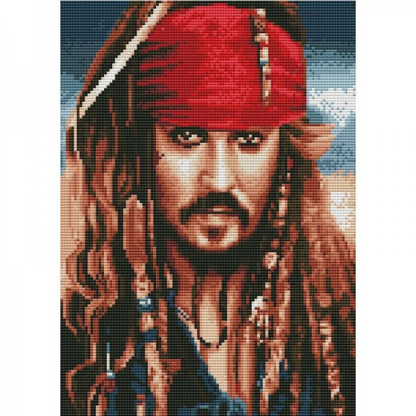 14ct Full cross stitch | Jack Sparrow（40x30cm） Painting By Numbers UK