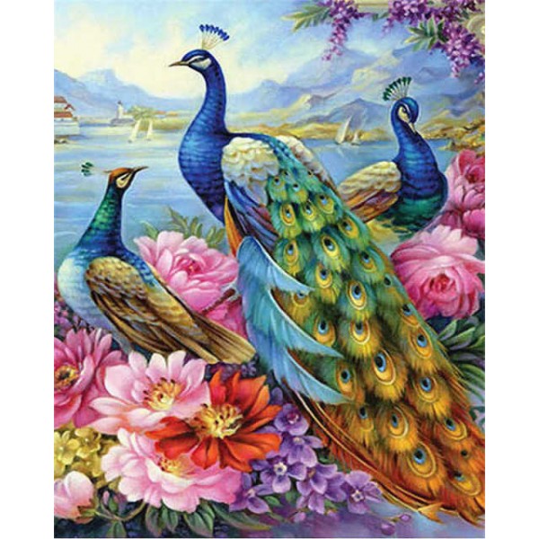 Peacock- 40*50cm Painting By Numbers UK