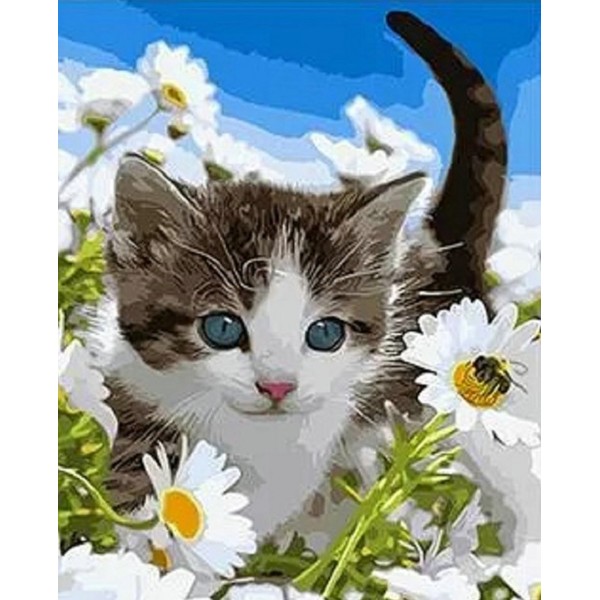 A cute cat among wildflowers Painting By Numbers UK