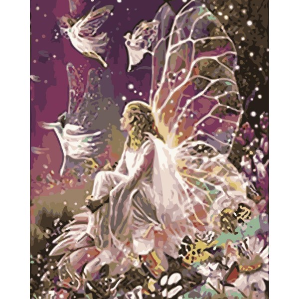 Fantasy Butterfly Fairy Painting By Numbers UK