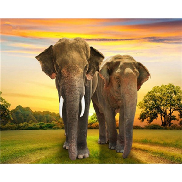 Elephant- 40*50cm Painting By Numbers UK