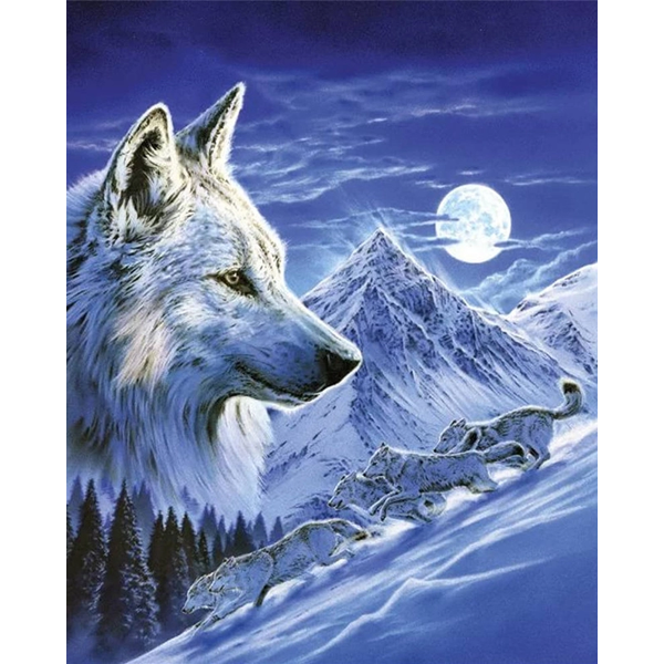 Animal wolf Painting By Numbers UK