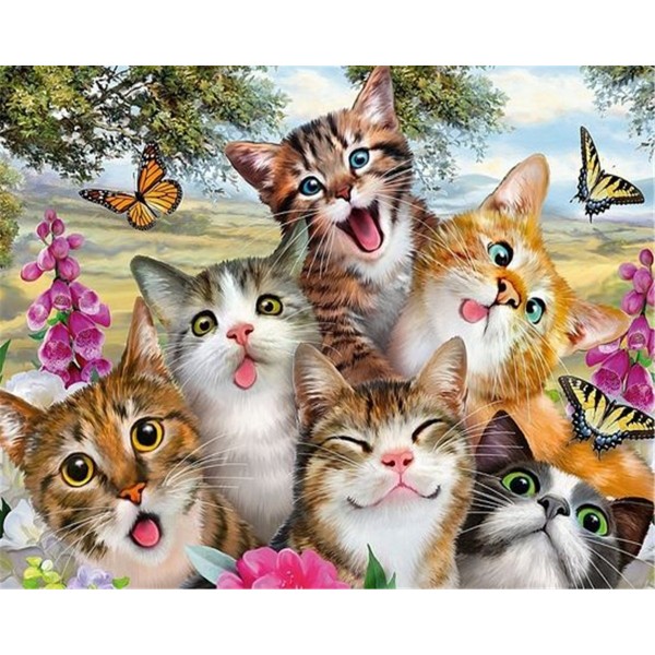 Group photo of cute cats Painting By Numbers UK