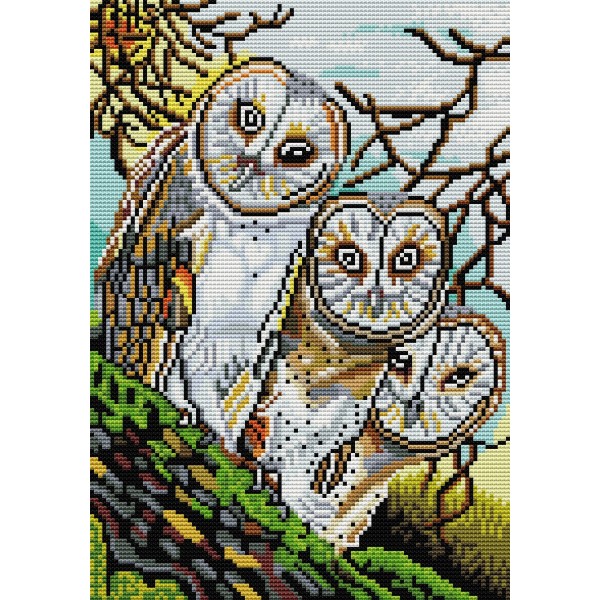11ct Full cross stitch | Owl（30x40cm） Painting By Numbers UK