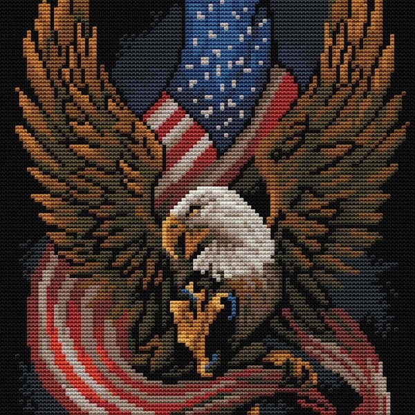 11ct Full cross stitch | Eagle and flag（30x30cm） Painting By Numbers UK