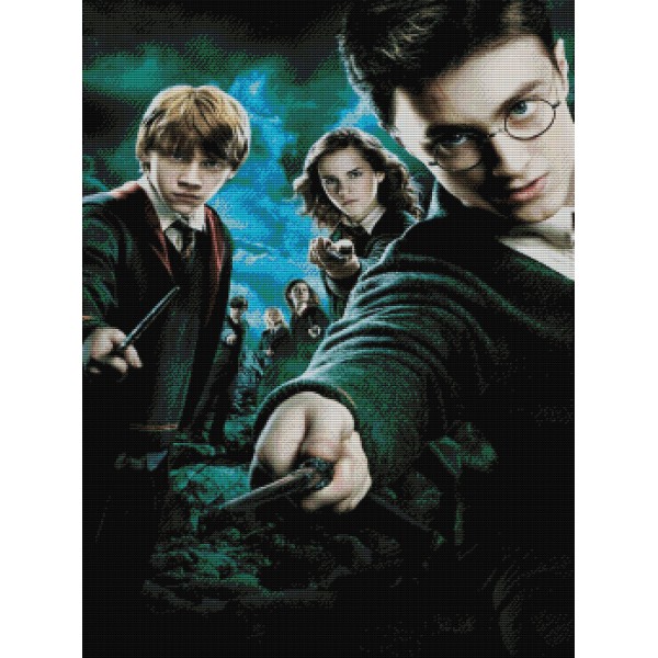 11ct Full cross stitch | Harry Potter（30x40cm） Painting By Numbers UK
