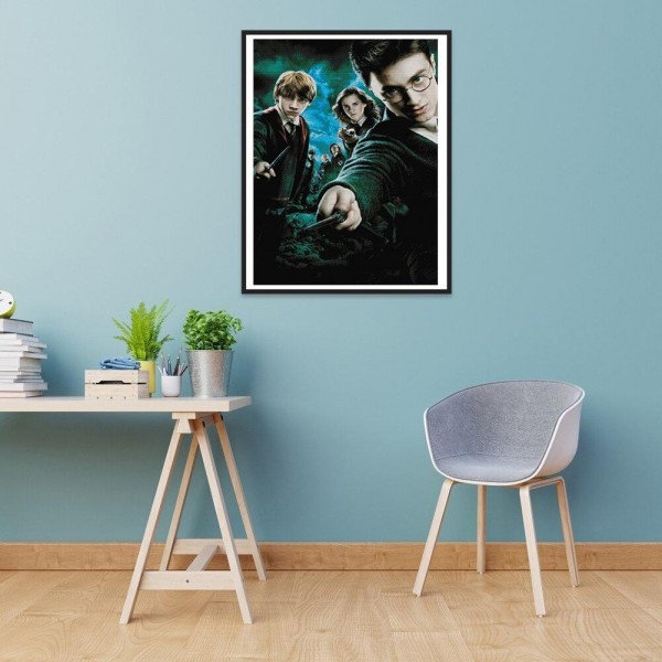 11ct Full cross stitch | Harry Potter（30x40cm） Painting By Numbers UK