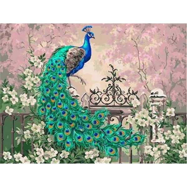 Peacock-- 40*50cm Painting By Numbers UK