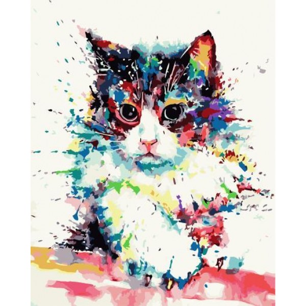 Colorful Cat Painting By Numbers UK