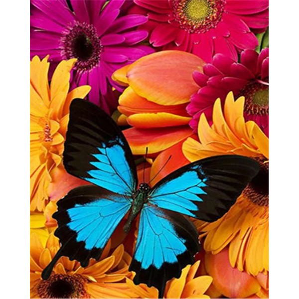 Flowers and butterfly Painting By Numbers UK