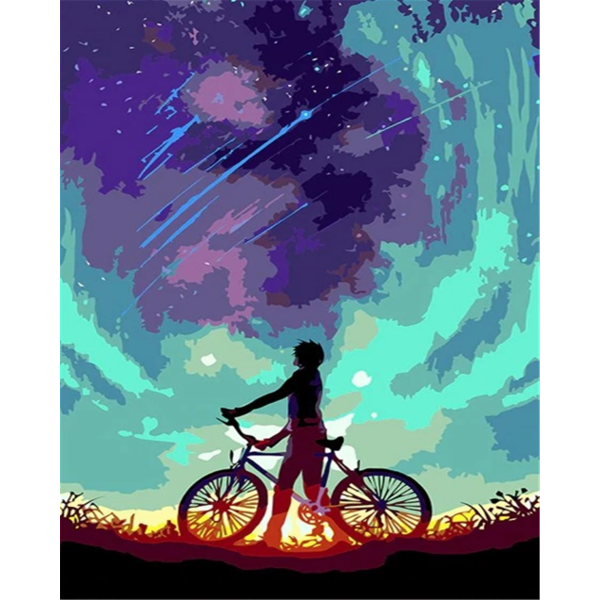 Teenager riding a bicycle Painting By Numbers UK
