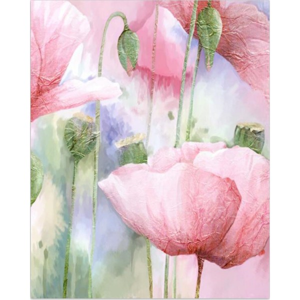 Watercolor Red Poppy Painting By Numbers UK