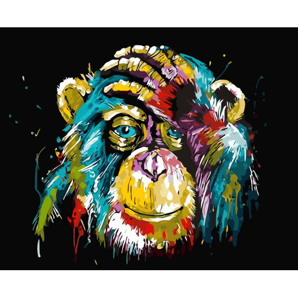 Animal Monkey Painting By Numbers UK