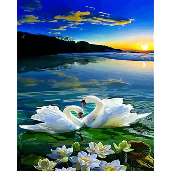 White swans on the lake Painting By Numbers UK