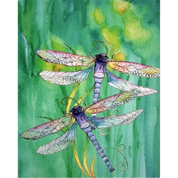 Animal dragonflies Painting By Numbers UK