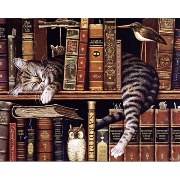 Cat asleep on the bookshelf Painting By Numbers UK