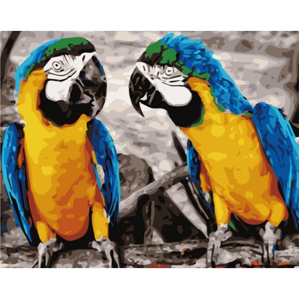 Two parrots - 40*50cm Painting By Numbers UK