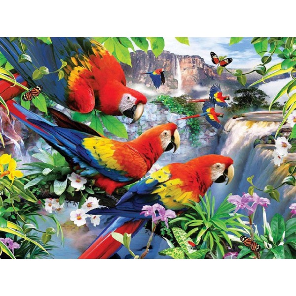 Three parrots - 40*50cm Painting By Numbers UK