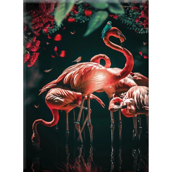 Flamingo- 40*50cm Painting By Numbers UK