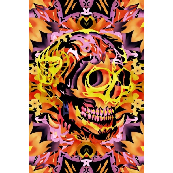 Bohemian Skull (40X50cm) Painting By Numbers UK