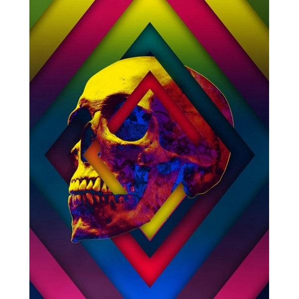 Lifeful Skull (40X50cm) Painting By Numbers UK